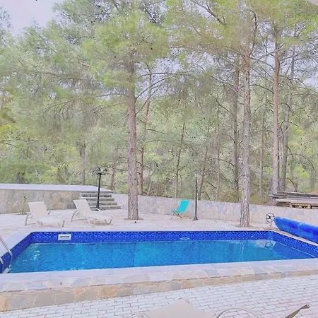 Forest View 酒店