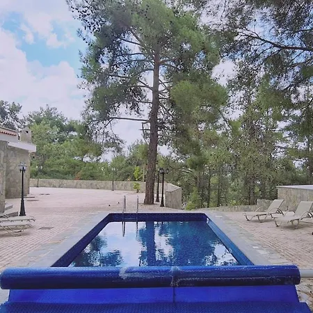 酒店 Forest View 普拉特斯