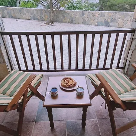 Forest View 4*