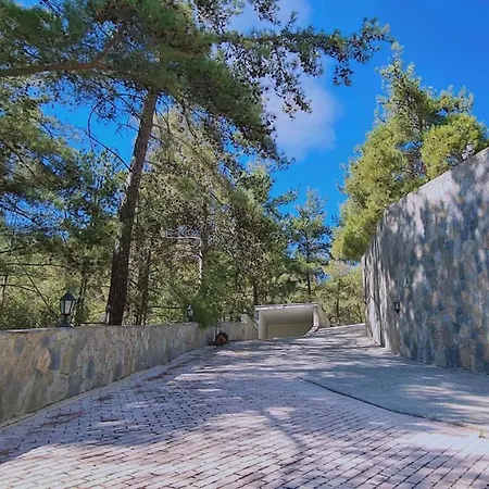 Forest View 4*
