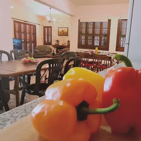 Forest View מלון פלטרס